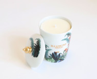 Scented candle refill . Lost illusions