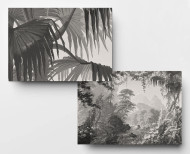 Panoramic wallpaper Eden monochrome . 1861