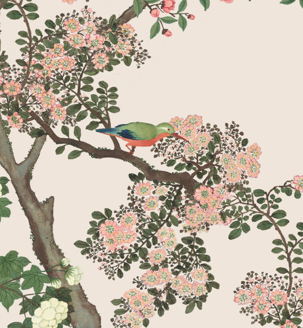 Papier peint chinois Camélia crème . 1795–1825