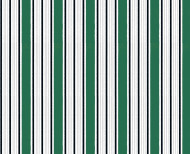 Wallpaper green Imperial stripes . 1800